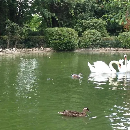Lakeview With Garden *